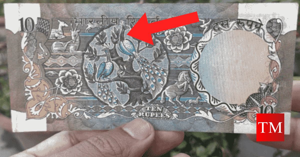 10 Rupees note