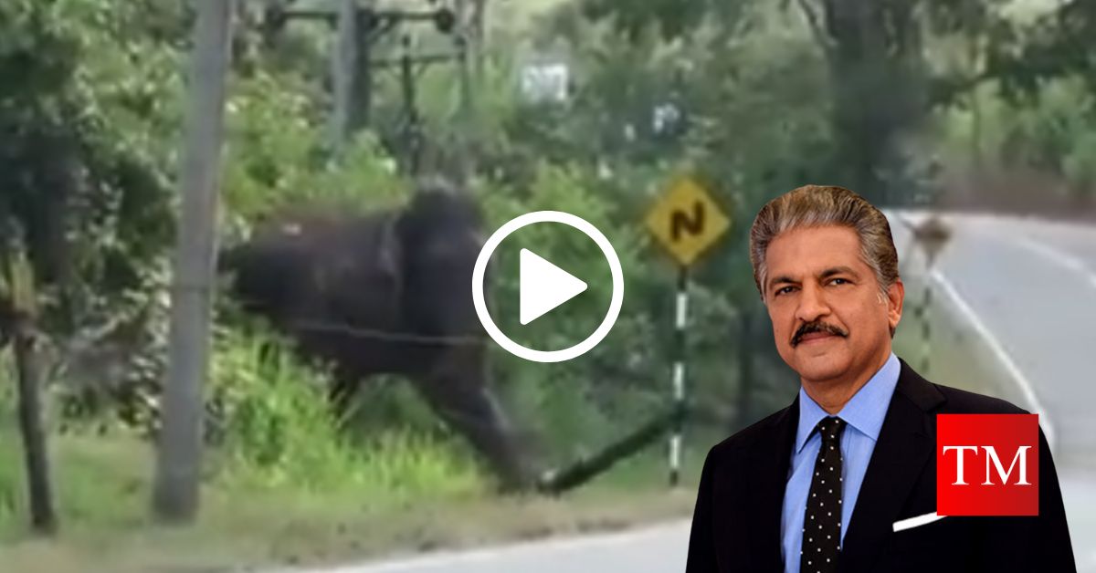 anand mahindra elephant video (1)